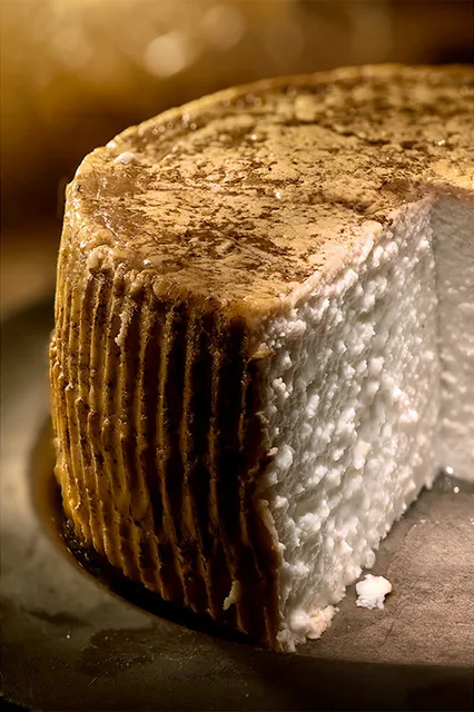 Forma di formaggio stagionato in sezione — still life, Daniele Fiore